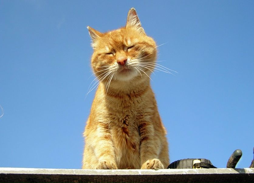 №41, Евгения Каргаева, 38 лет, Москва №41, Евгения Каргаева, 38 лет, Москва