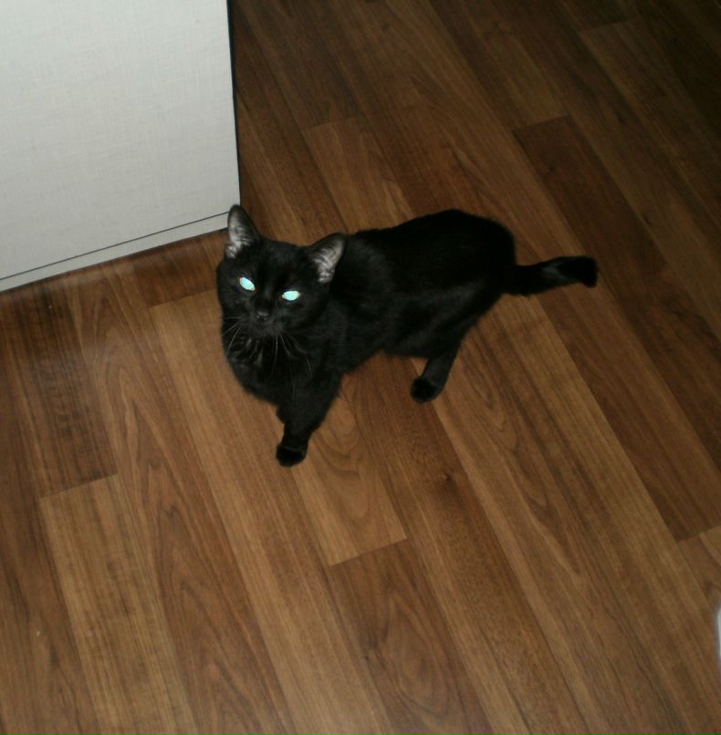 Юлия Андрющенко | Каменское / Днепродзержинск