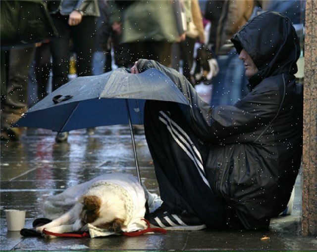 №1, Никто Никогда №1, Никто Никогда