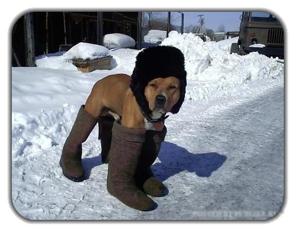 Дмитрий Гусев | Улан-Удэ