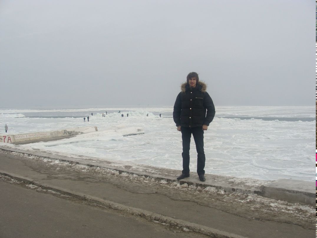 Дмитрий Мойсеев | 