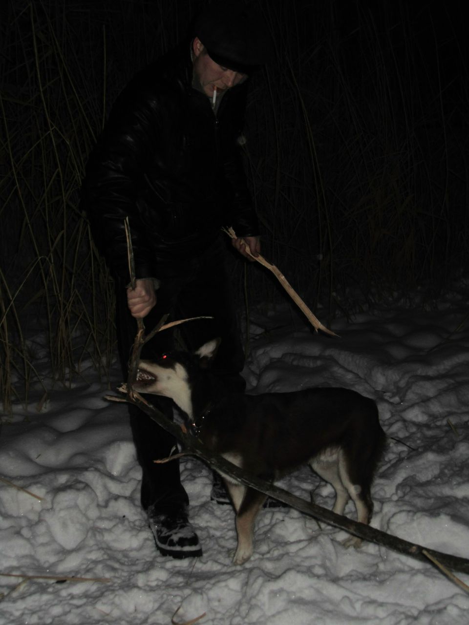 Андрей Любицкий | 