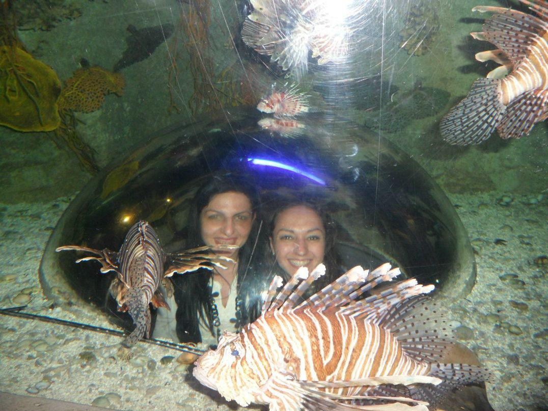 Naira Nersy | Харьков