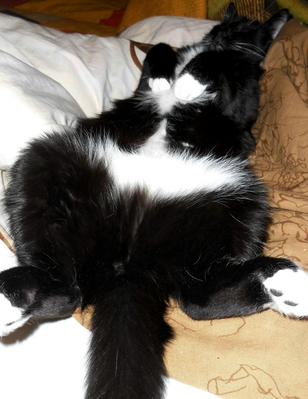 Julia Kiss | Москва