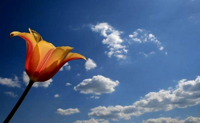 Юлия Ковганич | Борисполь