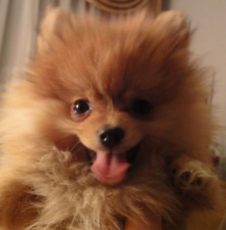 Алёна Кучер | 