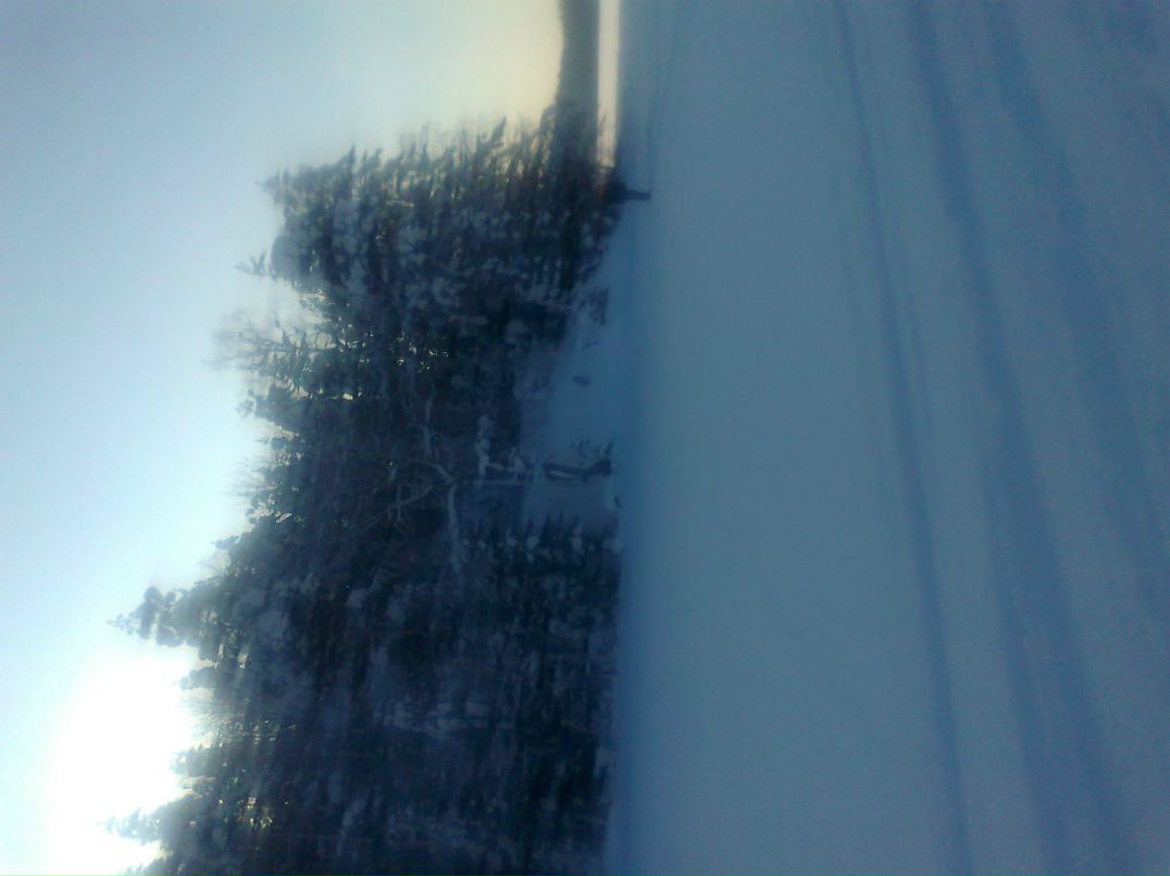 Николай Лапин | Санкт-Петербург