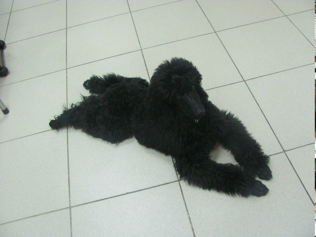 Ангелина Кормишина | Казань