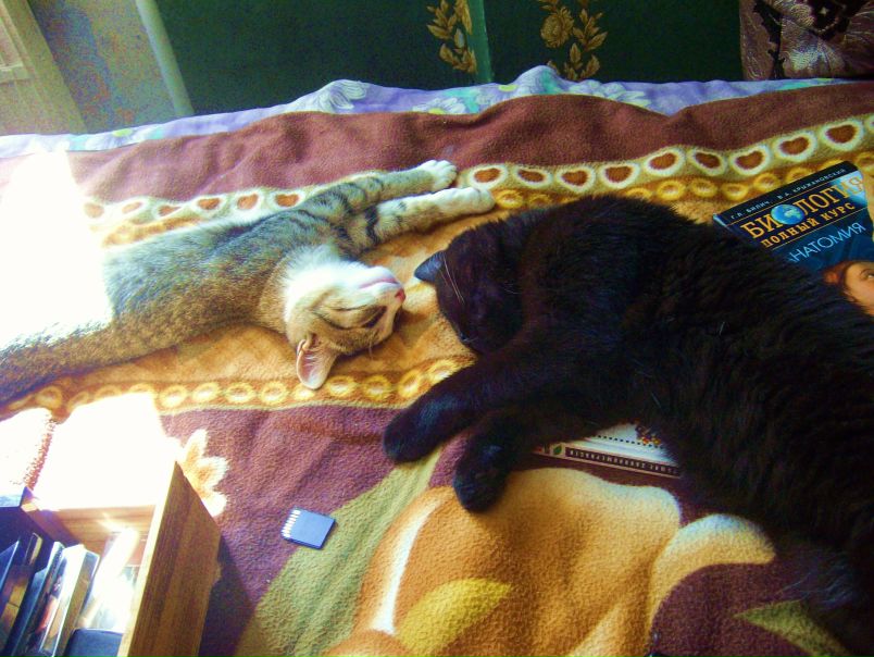 №102, Марина Лазуренко, 37 лет, Сатка №102, Марина Лазуренко, 37 лет, Сатка