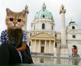 Фотография Аня Сутулина