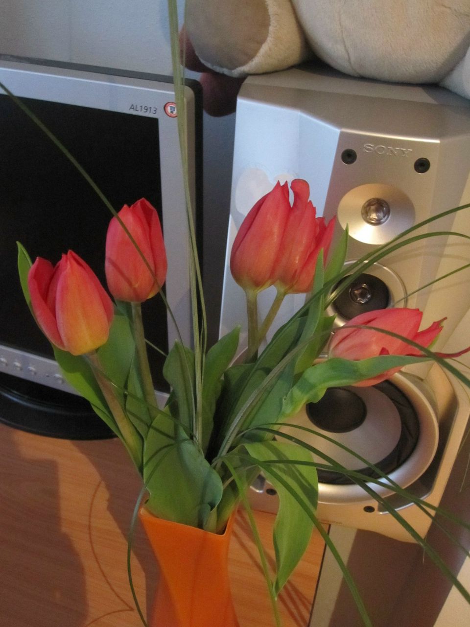 Маряна Великоча | Ивано-Франковск