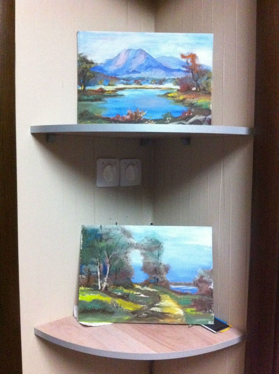 Анна Перемитина | 