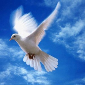 Ильдар Измайлов <Łéĝěŉďã> | Казань