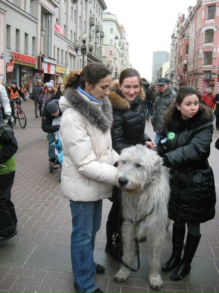 №111, Мария Атаманенко №111, Мария Атаманенко