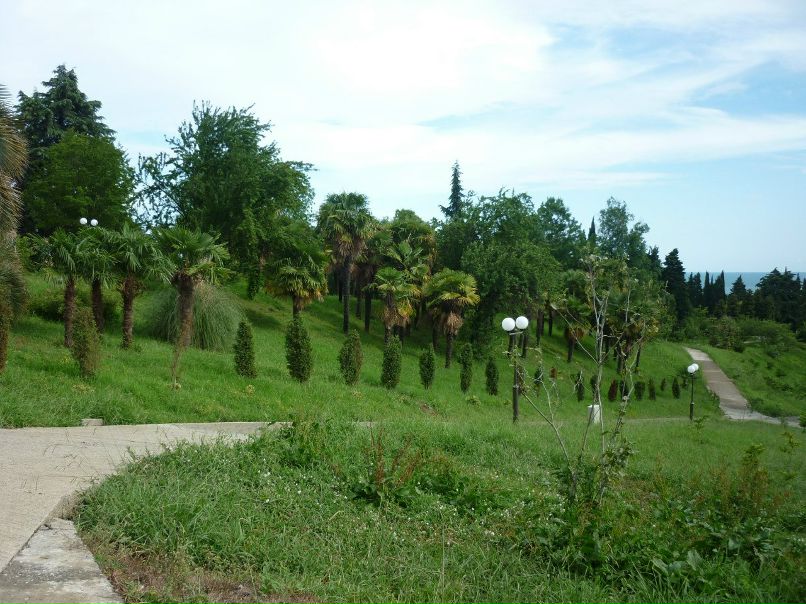 Olga Koroleva | Волгоград