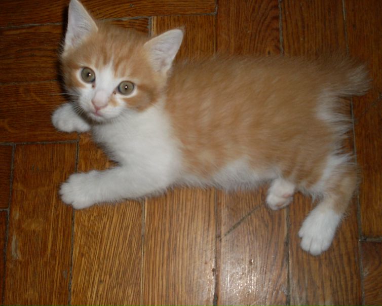 №100, Мария Козырь, 35 лет, Краснодар №100, Мария Козырь, 35 лет, Краснодар