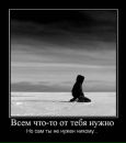Фотография Павел Устимов