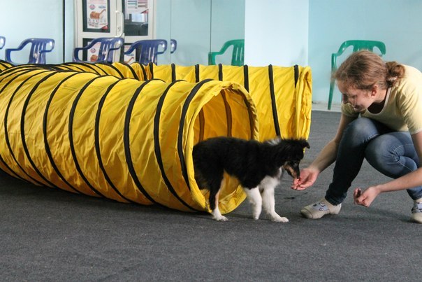 Екатерина Соловьева | Нижний Новгород