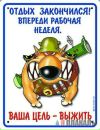 Фотография Владислав Усачов