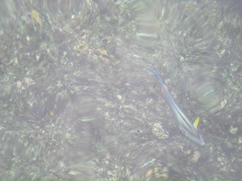 Александр Подхватилин | Волгоград