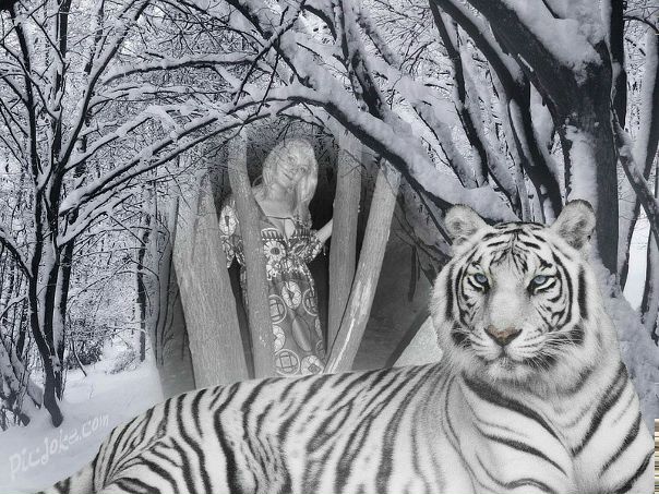 №198, Ольга Любушкина, 37 лет, Москва №198, Ольга Любушкина, 37 лет, Москва