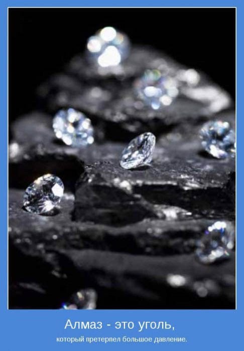 Вика Криштальова | Черкассы