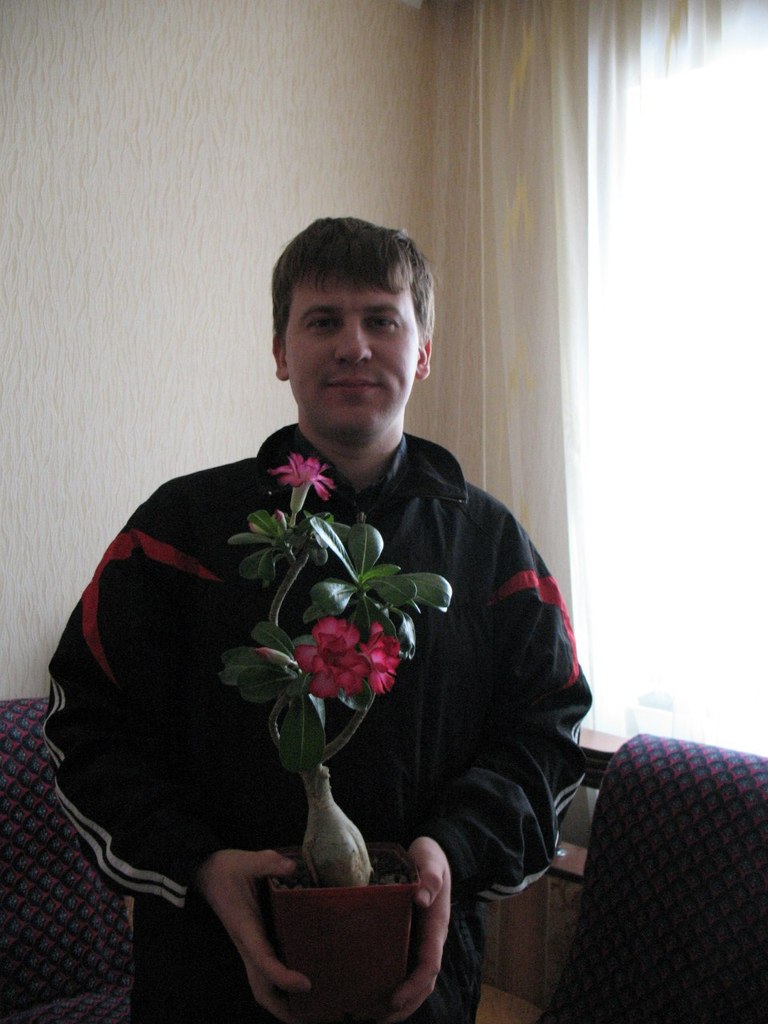 Ник Побыйвовк | Киев