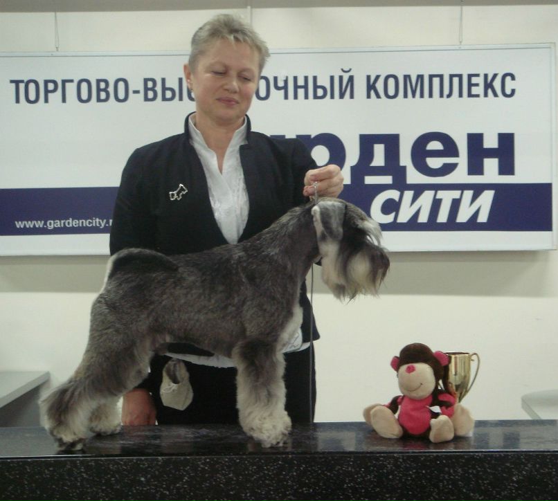 Елена Никитина | Санкт-Петербург