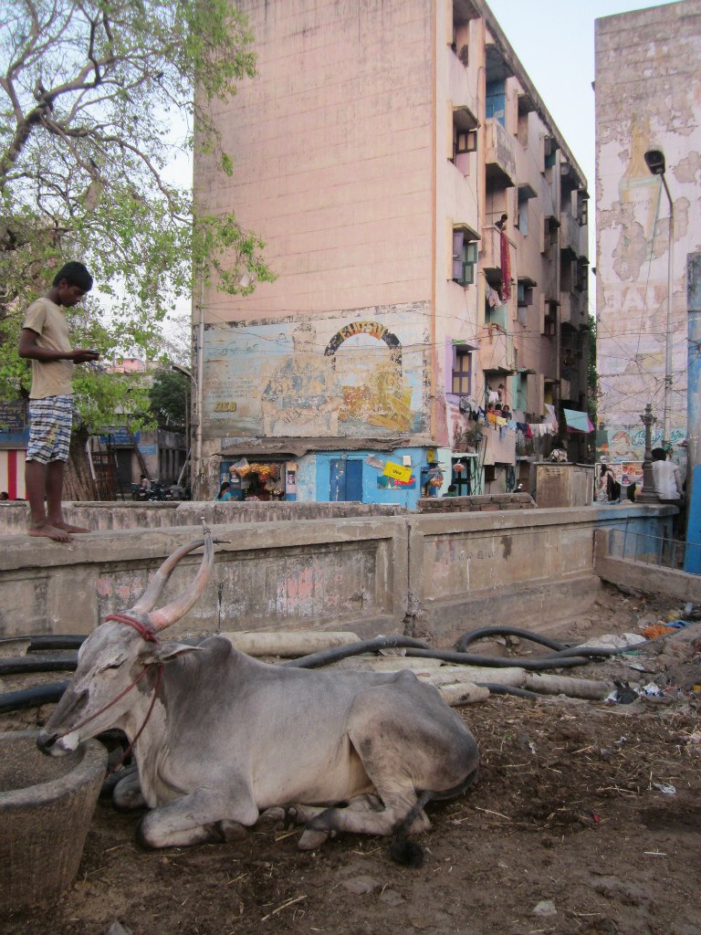 Rust Rust | Санкт-Петербург