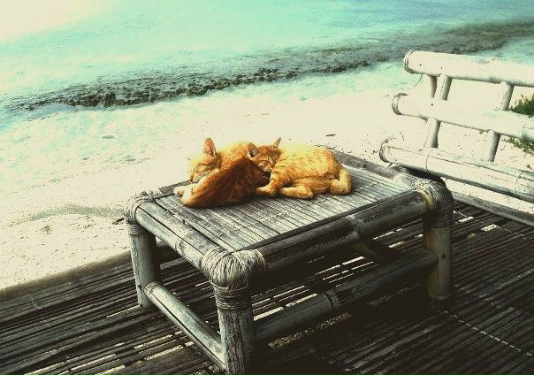 №20, Яна Кудрявцева, Санкт-Петербург №20, Яна Кудрявцева, Санкт-Петербург