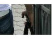 Екатерина Критикова | Витебск