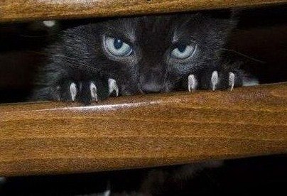 Светлана Любимая | Севск