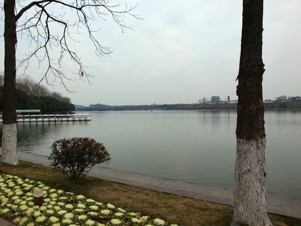 Владимир Лобода | Киев