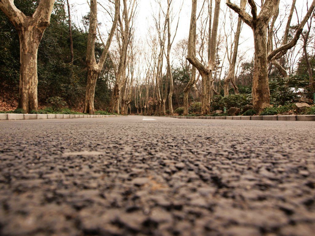 Владимир Лобода | Киев