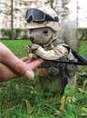 Фотография Яниди Алины