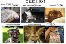 Фотография Анжела Гулу-Заде