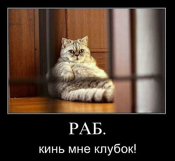 №178, Maria Bogoslovskaya, Москва №178, Maria Bogoslovskaya, Москва