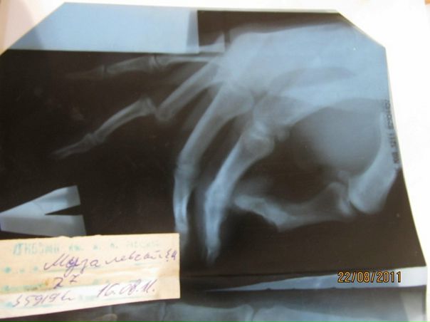 №10, Евгений Музалевский, 42 года, Харьков №10, Евгений Музалевский, 42 года, Харьков