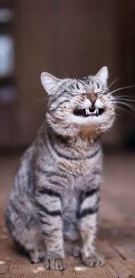 Юлия Поздина | Екатеринбург