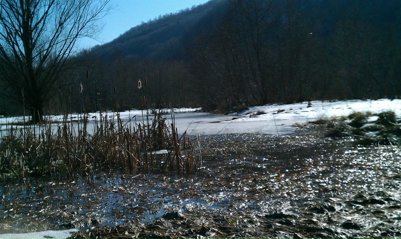 Василь Дудина | Выгода