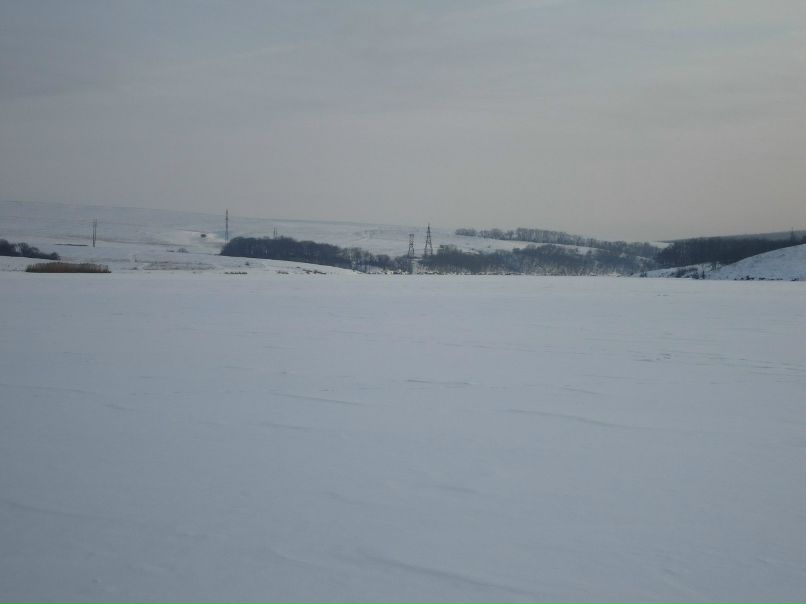 Дима Хачев | Донецк