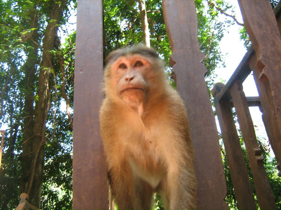 Ирина Хохлушина | Москва