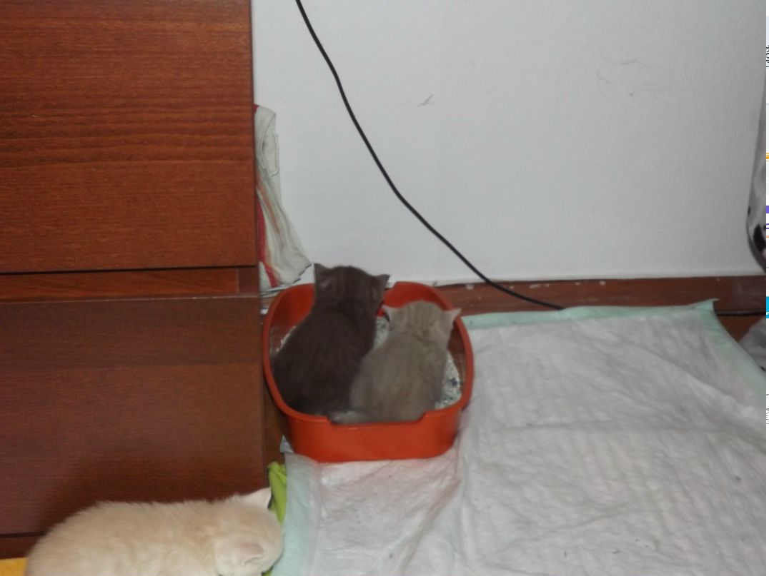 Оксана Морозова | Санкт-Петербург