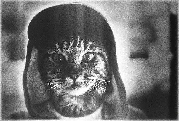 Саня Зубарев | Северодвинск