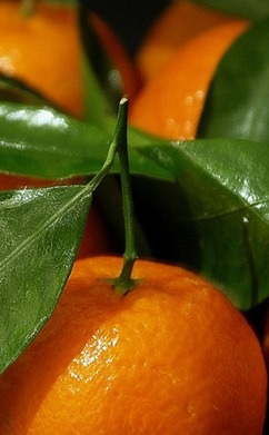 №40, Мария Мазур, 41 год №40, Мария Мазур, 41 год