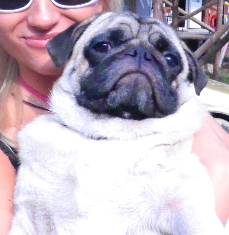 Анастасия Милонова | Санкт-Петербург