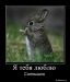 Макс Бобарыкин фотография #8 (источник - https://vk.com/id98438672)