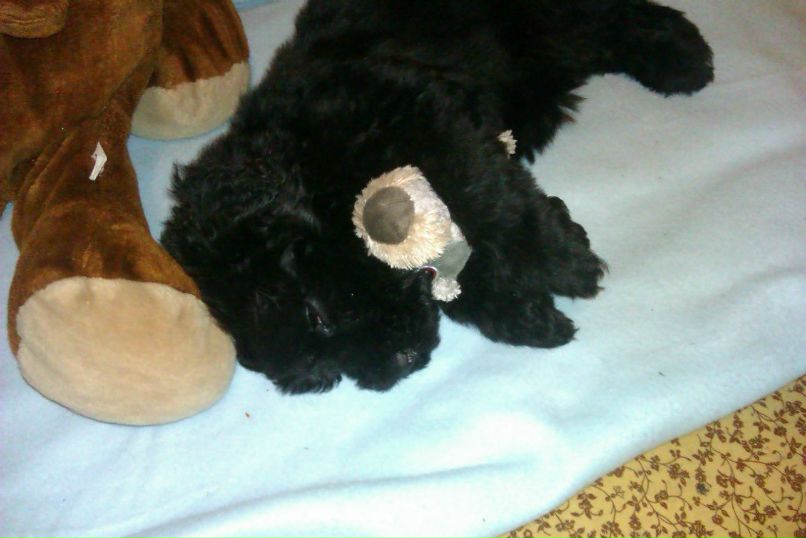 Катерина Колисниченко | Москва