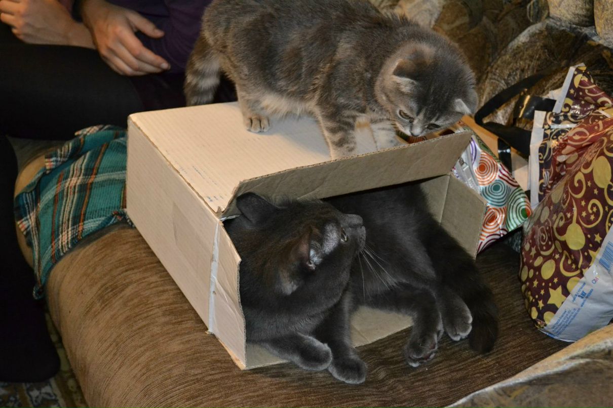 Маша Басова | Екатеринбург