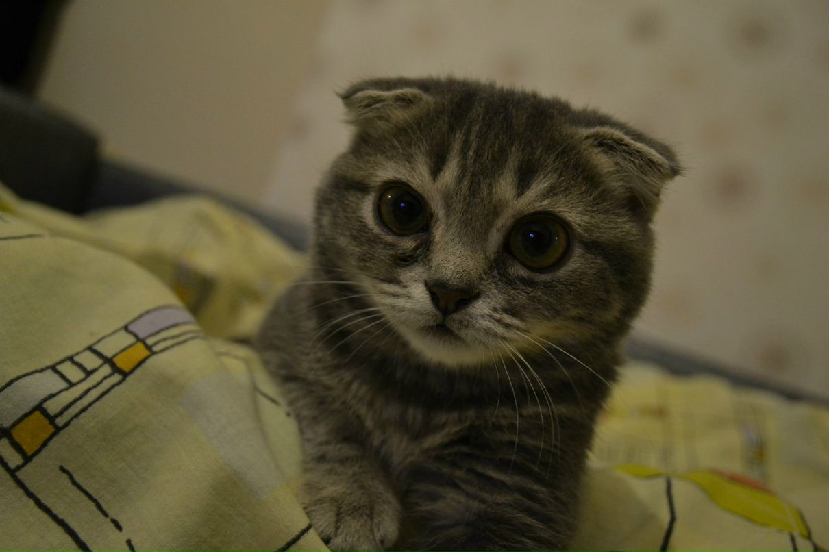 Маша Басова | Екатеринбург